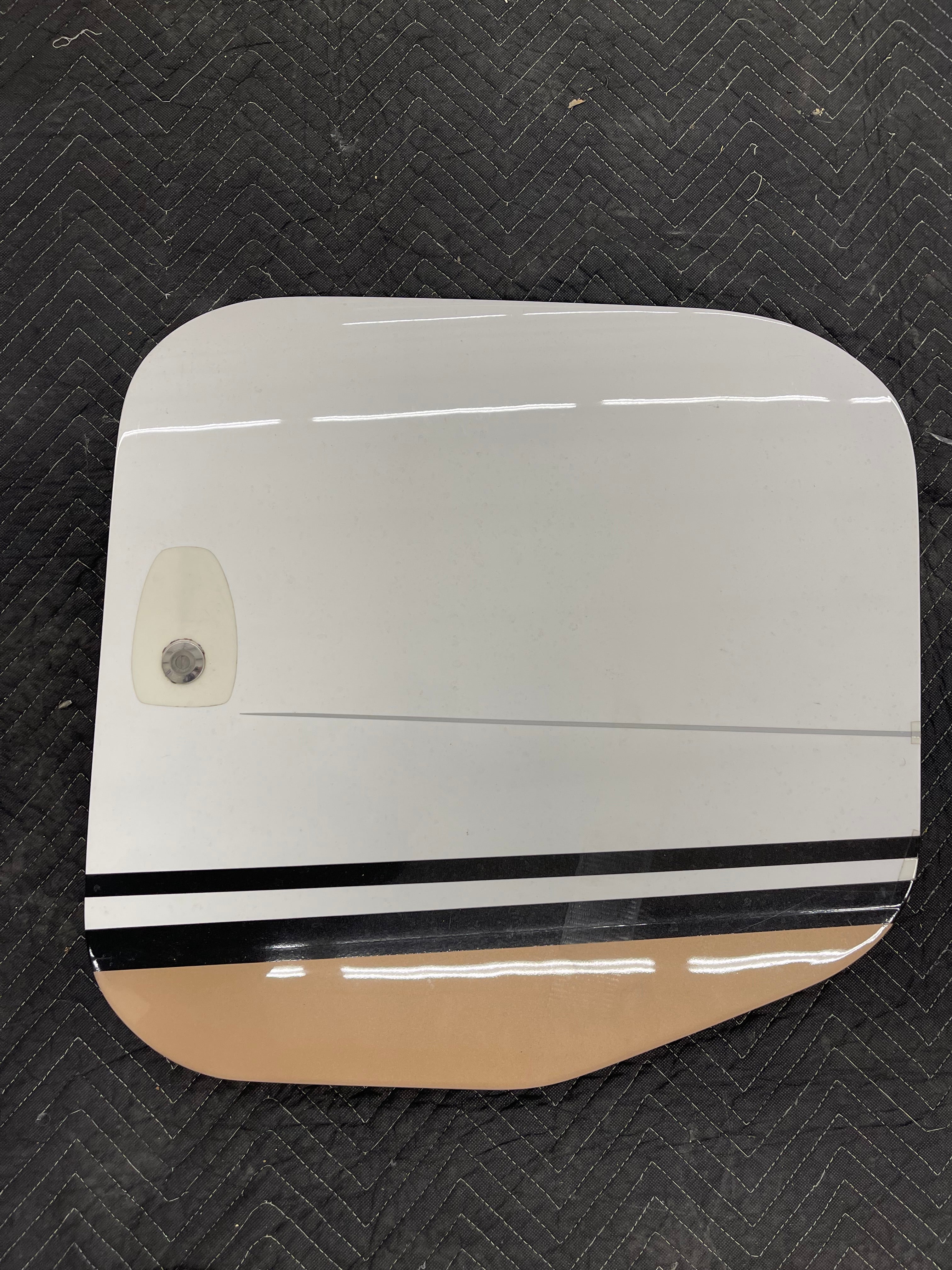 Baggage Door Assy P/N 20302-001